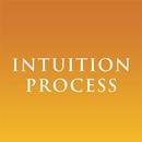 APK Intuition Process
