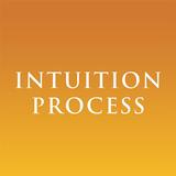 Intuition Process icône