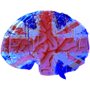 English: exercises and lessons APK