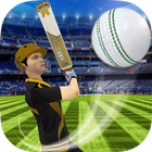Cricket Multiplayer icon