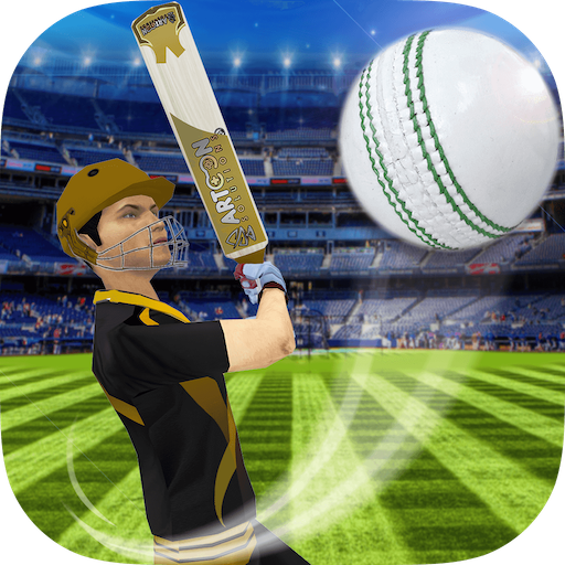 Cricket Multiplayer