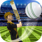 Cricket Multiplayer biểu tượng