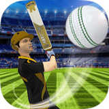 Cricket Multiplayer icône