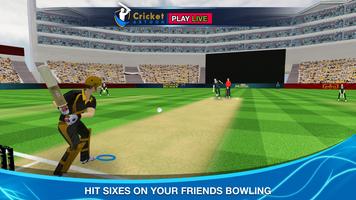 Cricket Multiplayer Poster