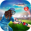 Passion Cricket Games APK