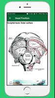 Human Anatomy OFFLINE capture d'écran 2
