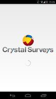 Crystal Surveys Cartaz