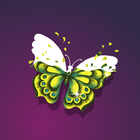 Magic Butterfly Paint icon