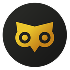 Owly ikona