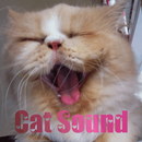 Suara Kucing Meow Lengkap APK