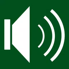 Descargar XAPK de LoudPlayer Básico