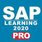 LEARN SAP 2020 pro icône