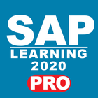 LEARN SAP 2020 pro ikona