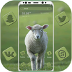 Cute Lamb Theme