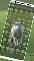 Cute Lamb Theme スクリーンショット 1