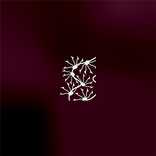 SCENT ARTS