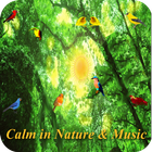 Calm and Relaxation in Nature  icon