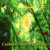 자연과 음악의 진정과 휴식 포스터