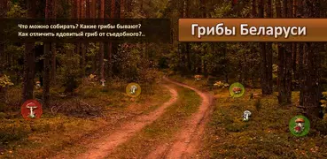 Грибы Беларуси FREE