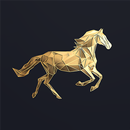 NOBLE HORSE DESIGN APK