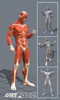 ArtPose Male Edition الملصق