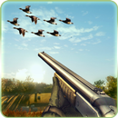 Chasse au canard sauvage APK