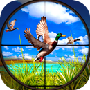 Caça ao Pato Selvagem APK