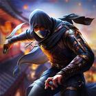 Ninja Assassin Shadow Master icon