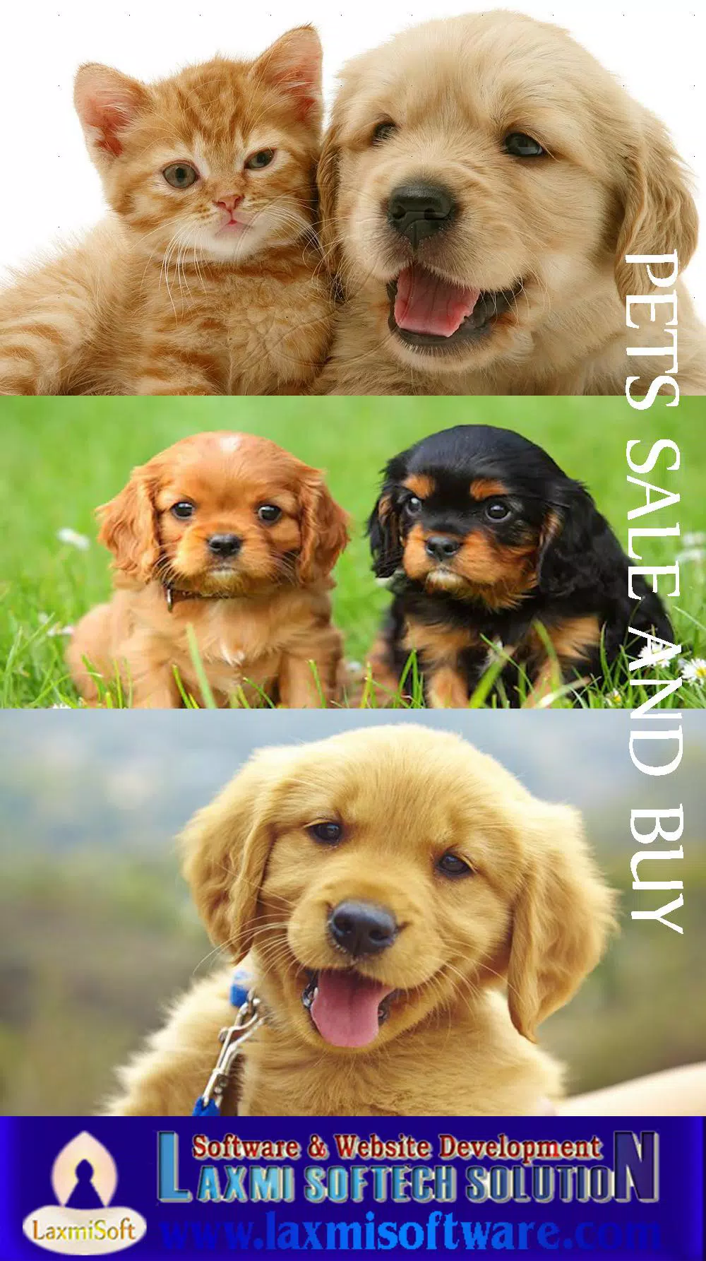 Can I Sell Puppies On Ebay