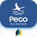 Pego AR APK