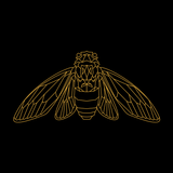 Cicada Media icon