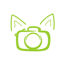 Rox Realty Media APK