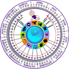 Pregnancy Wheel 아이콘