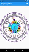 Pregnancy Wheel plakat