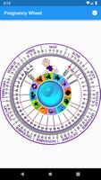 Pregnancy Wheel স্ক্রিনশট 1