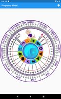 Pregnancy Wheel скриншот 2