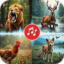 Animal Sounds: Birds Ringtones APK