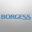 Borgess