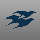 St.Vincent Health “Caring” icon