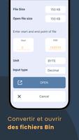 Convertisseur de fichiers Bin capture d'écran 1