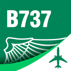 B737 Type Rating Flashcards icône