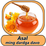 Asal - ming dardga davo icône