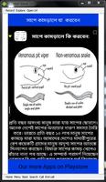 Snake Bite How to Safe Ekran Görüntüsü 1