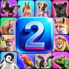 Find 2 - Match Master Icon