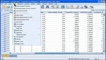 Learn SPSS Manual 18 statistic Affiche