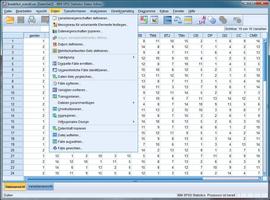 Learn SPSS Manual 18 statistic capture d'écran 2