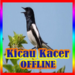 Kicau Kacer lengkap OFFLINE
