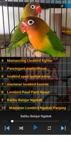 Masteran Lovebird syot layar 3