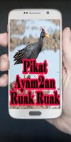 Suara Pikat Burung Ayam2an dan capture d'écran 2