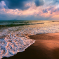 The Beauty by Sea